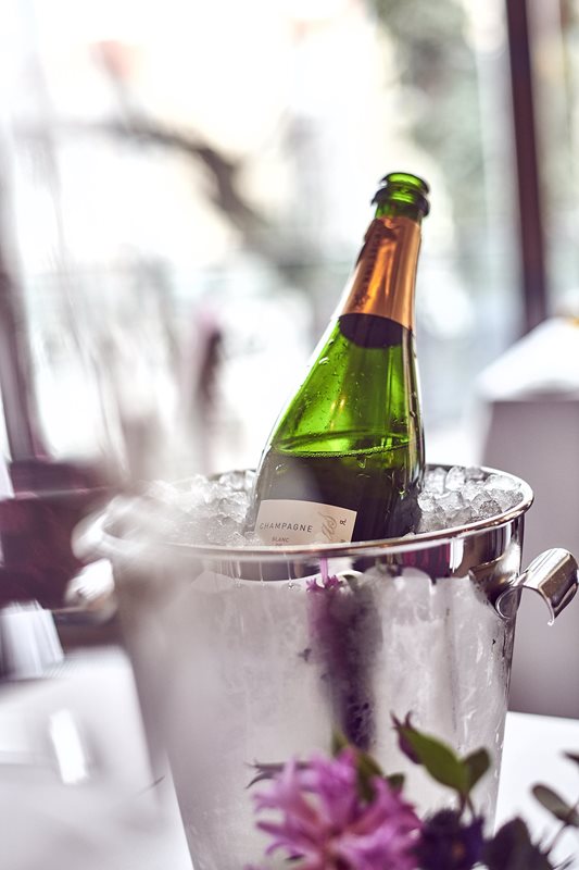 Silvestry pod taktovkou Zátiší Group